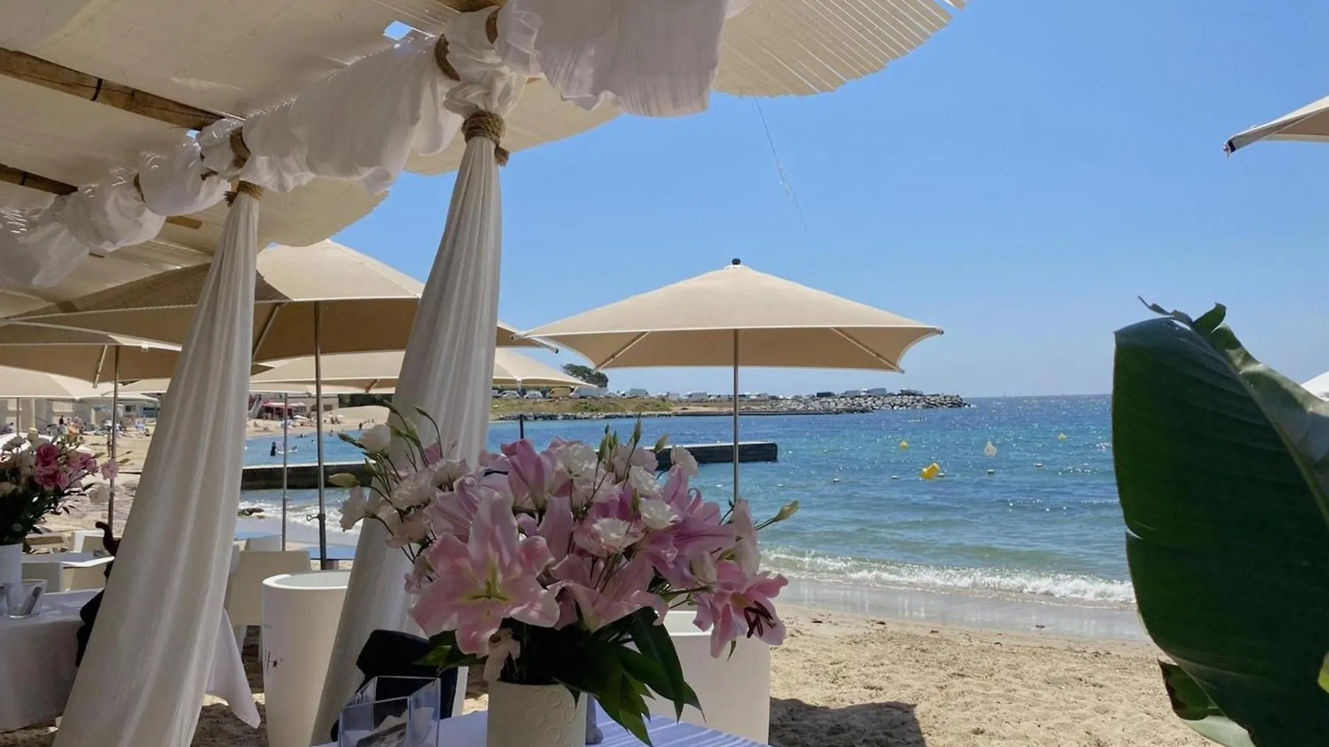 Cocotiers Villa Les Issambres